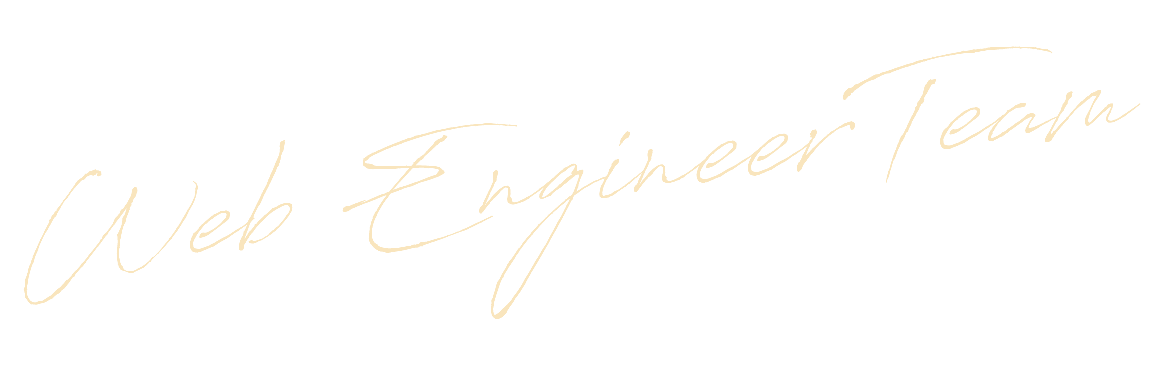 Web Engineer Team